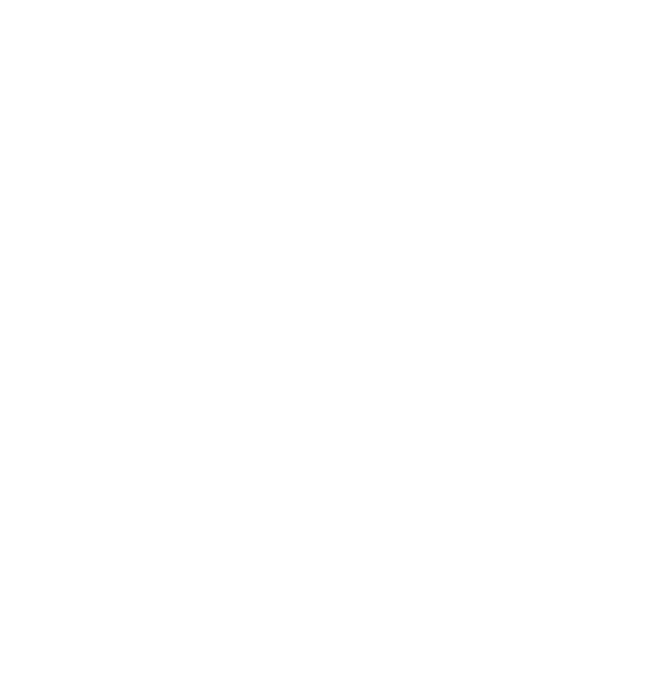 Enso, a hand-painted Zen circle